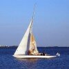 vela.jpg Barco vela
